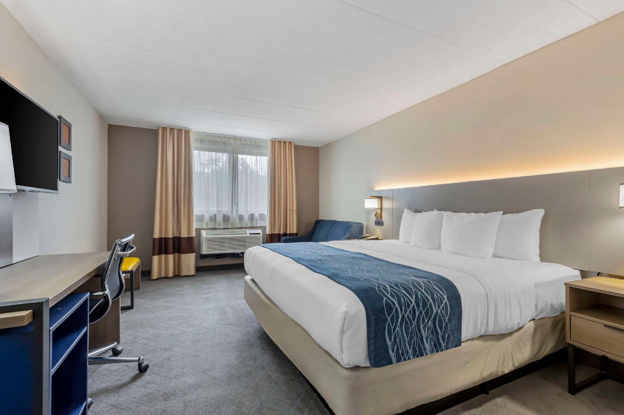 1 King Bed, Nonsmoking, Accessible