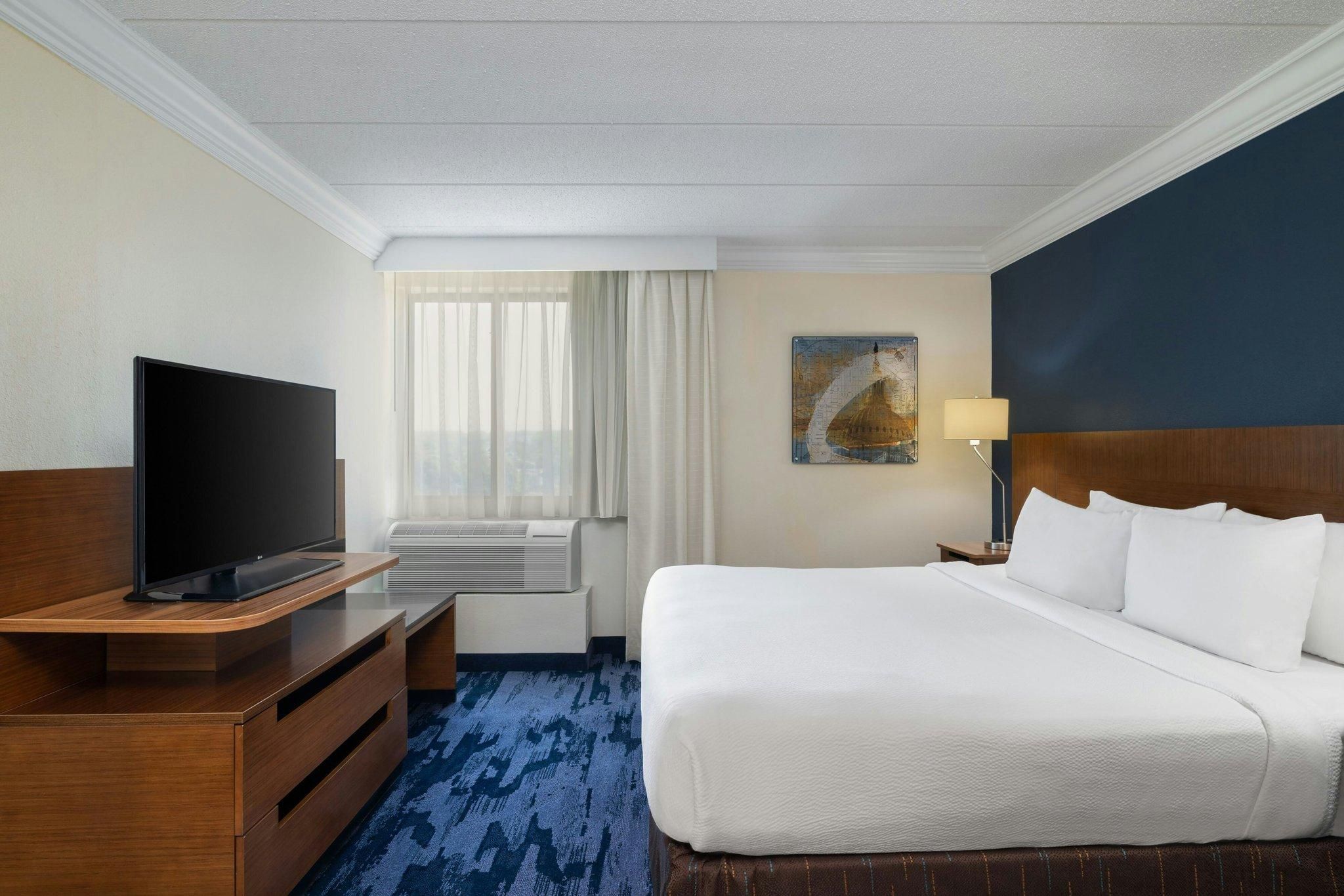 Suite, 1 King, Sofa bed