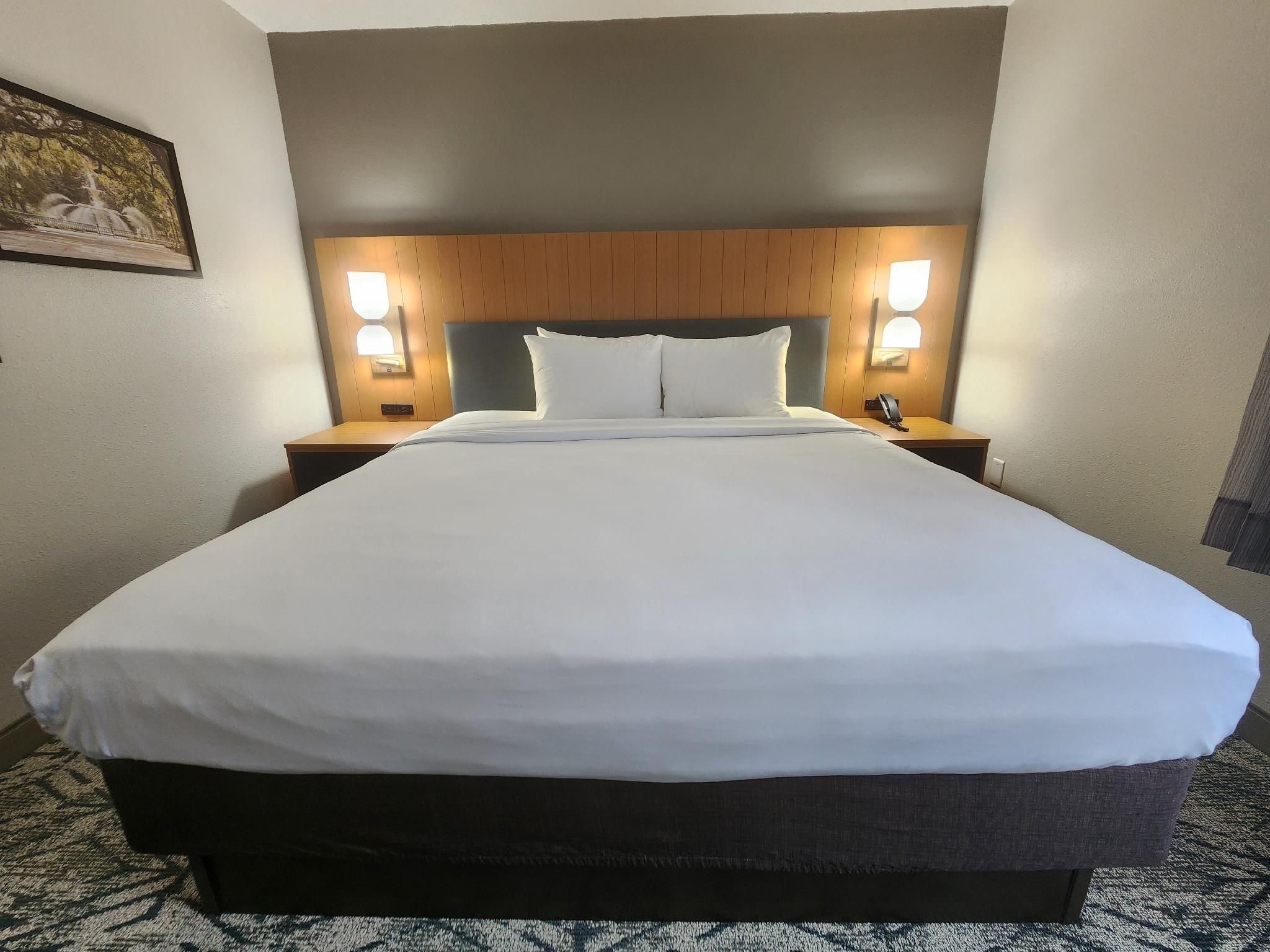 1 King Bed, Suite, Nonsmoking, Accessible