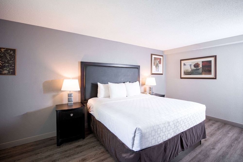 Room, 1 King Bed, Non Smoking