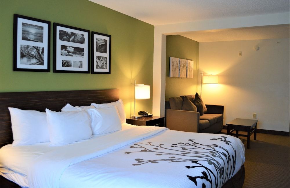 Business Room, 1 King Bed with Sofa bed, Accessible, Non Smoking