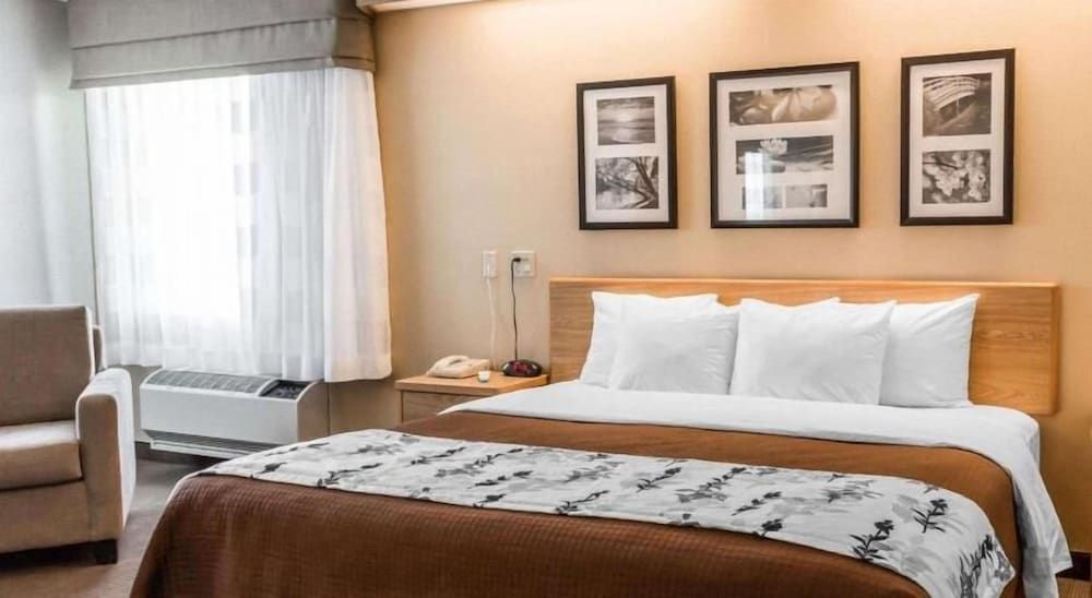 Room, 1 King Bed, Accessible, Non Smoking
