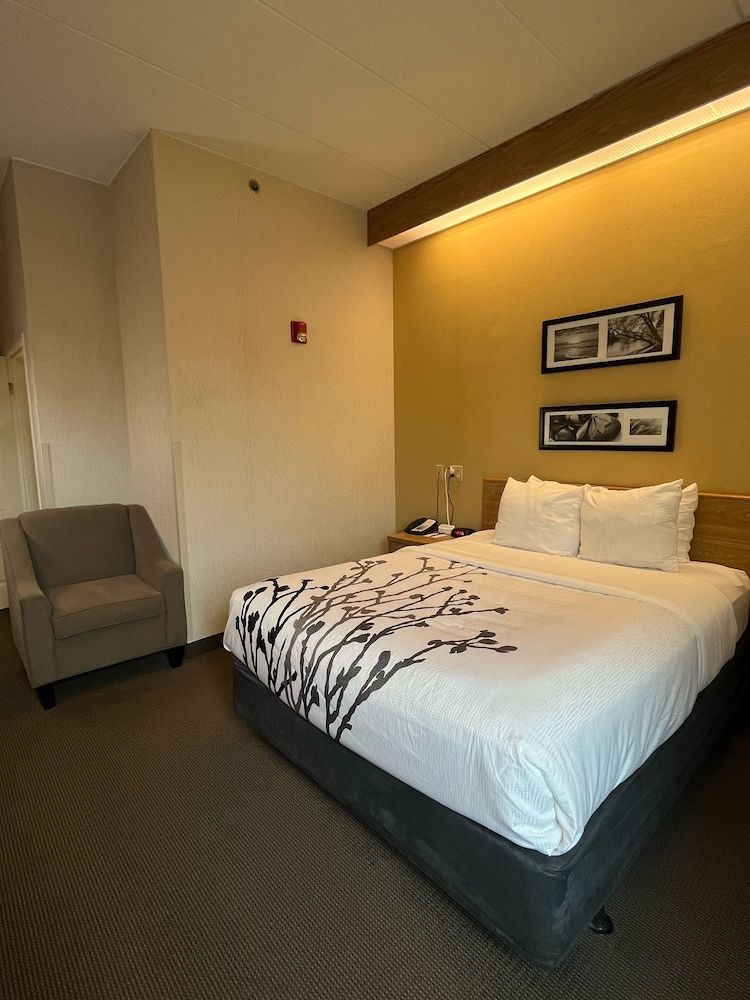 Room, 1 Queen Bed, Accessible, Non Smoking