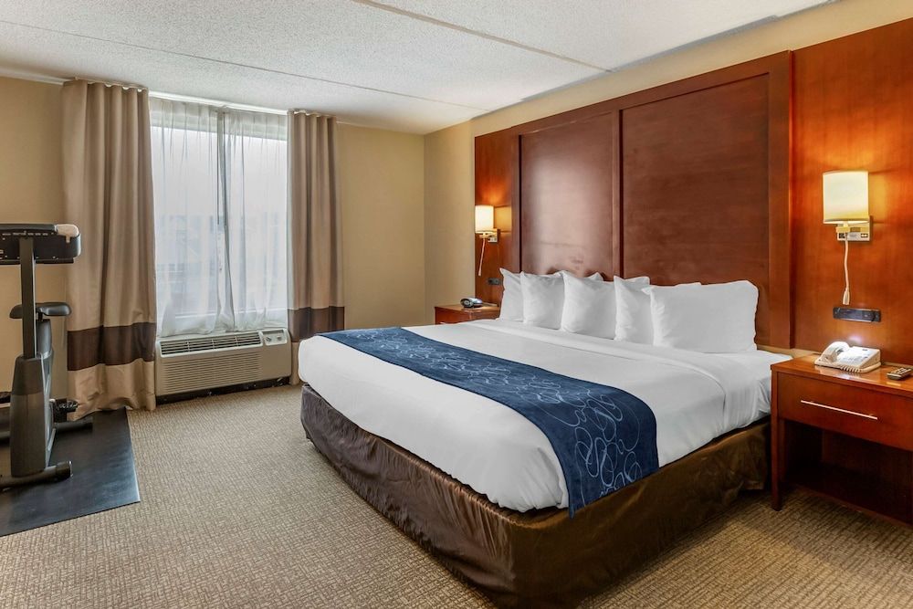 Room, 1 King Bed with Sofa bed, Non Smoking