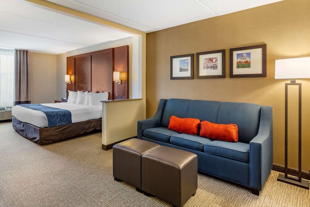 Room, 1 King Bed with Sofa bed, Non Smoking