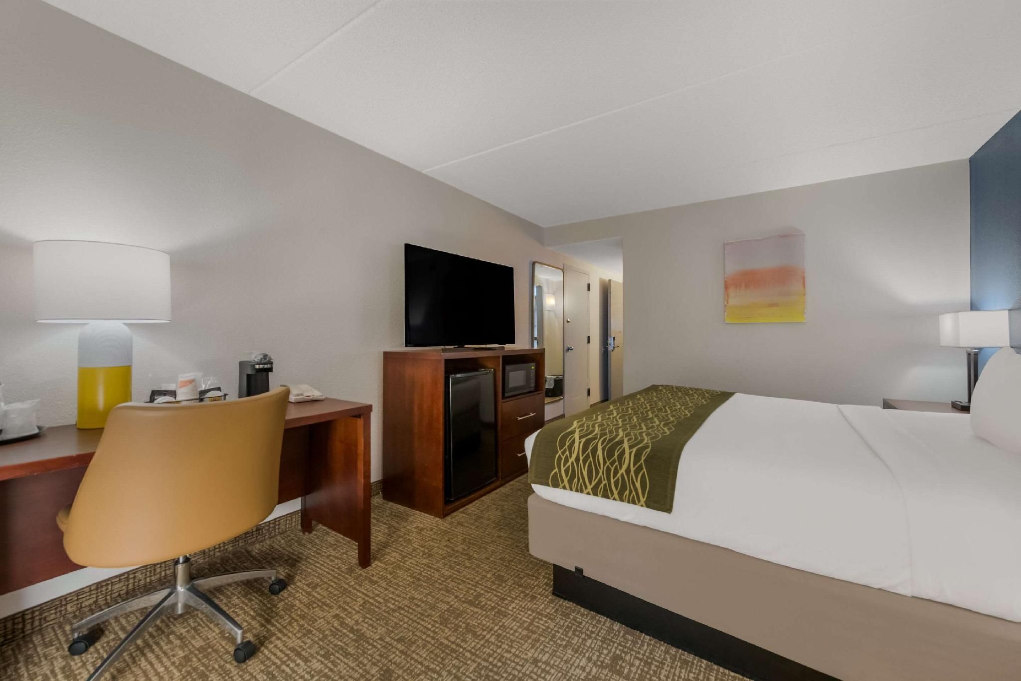 1 King Bed, Nonsmoking, Accessible