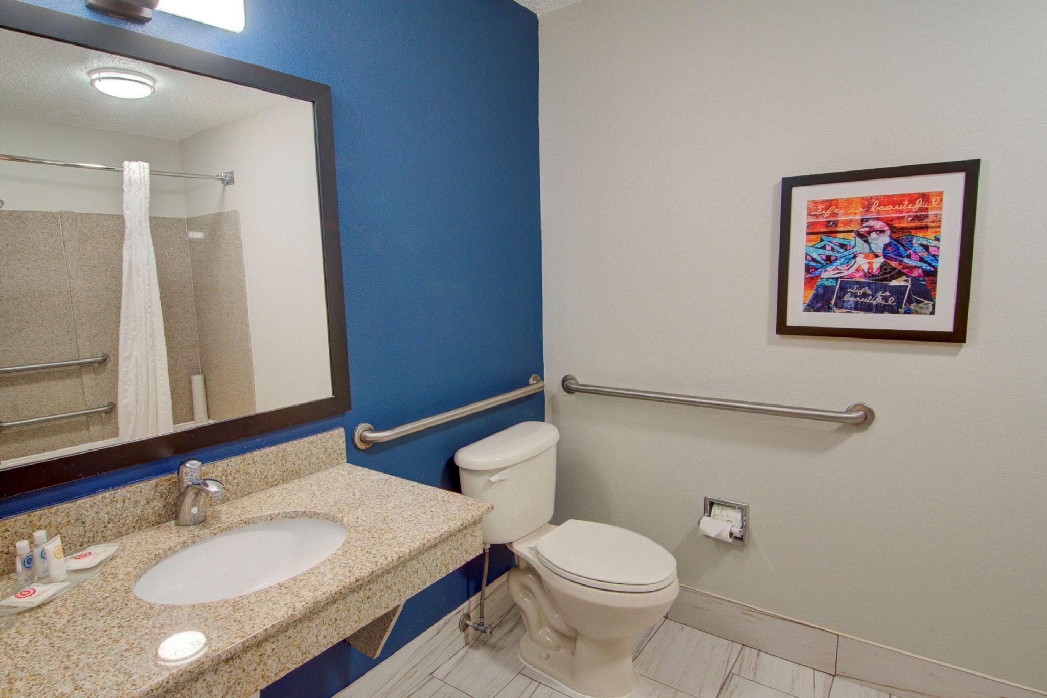 1 King Bed, Suite, Nonsmoking, Accessible