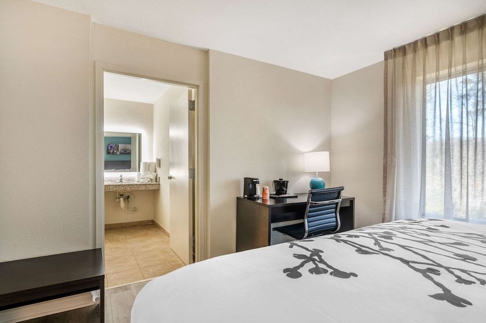 Sleep Inn & Suites Suite, 1 King Bed with Sofa bed, Accessible, Non Smoking 3