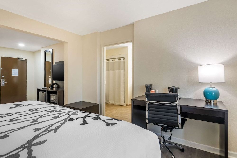 Sleep Inn & Suites Suite, 1 King Bed with Sofa bed, Accessible, Non Smoking 4