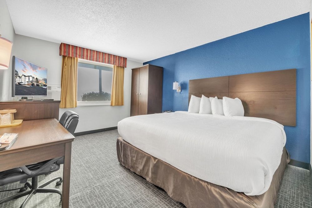 Room, 1 King Bed, Smoking