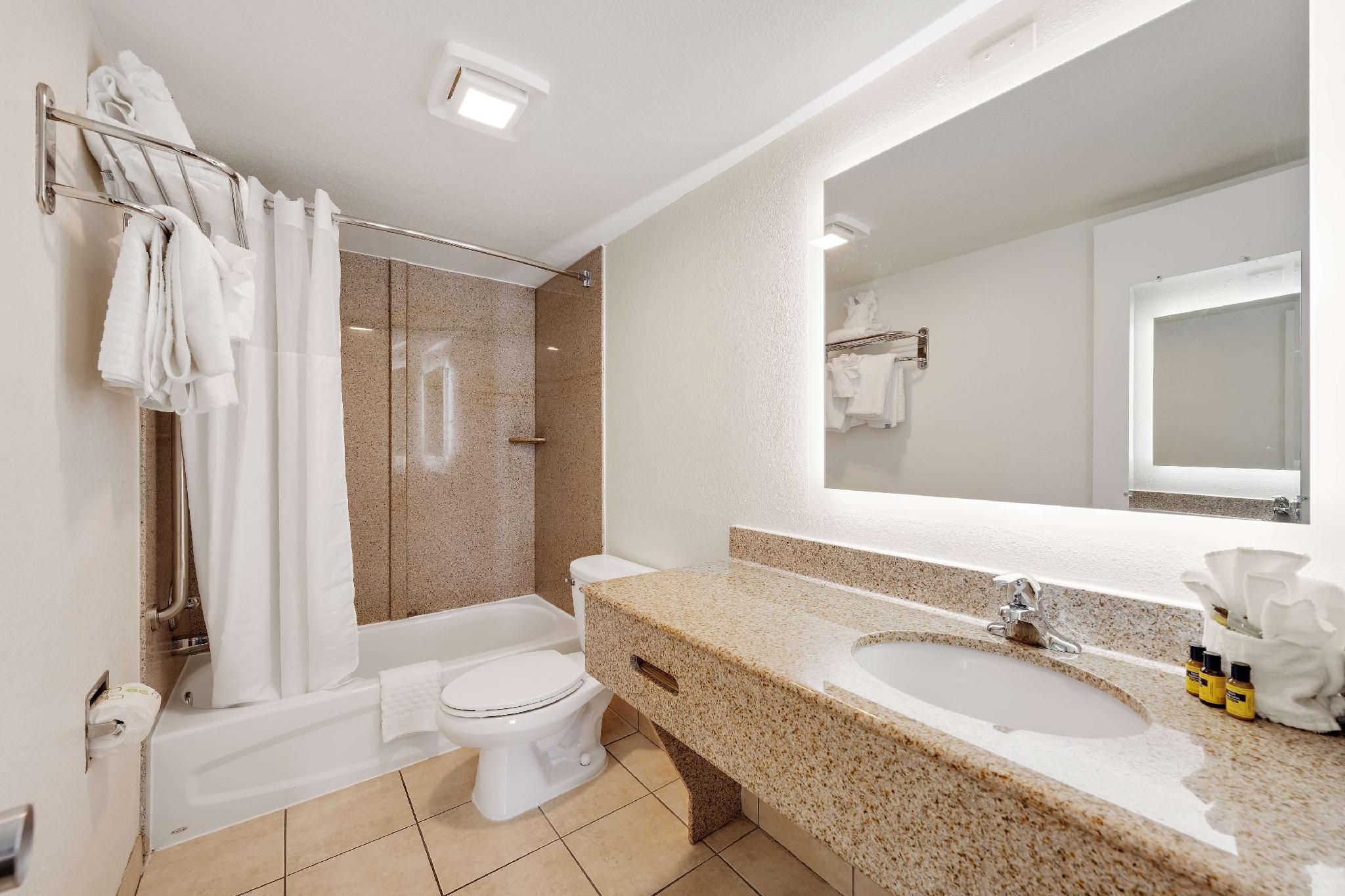 Apartment - 2 King Beds, Nonsmoking, Two Bedrooms, Sofabed, Living Area, Kitchen