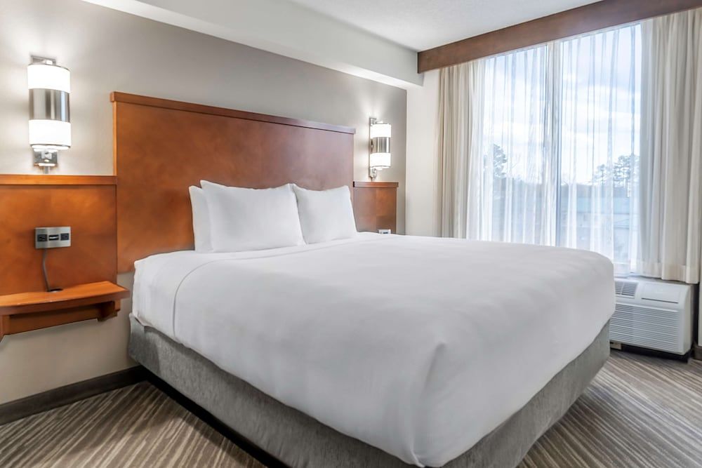 Standard Studio Suite, 1 King Bed with Sofa bed