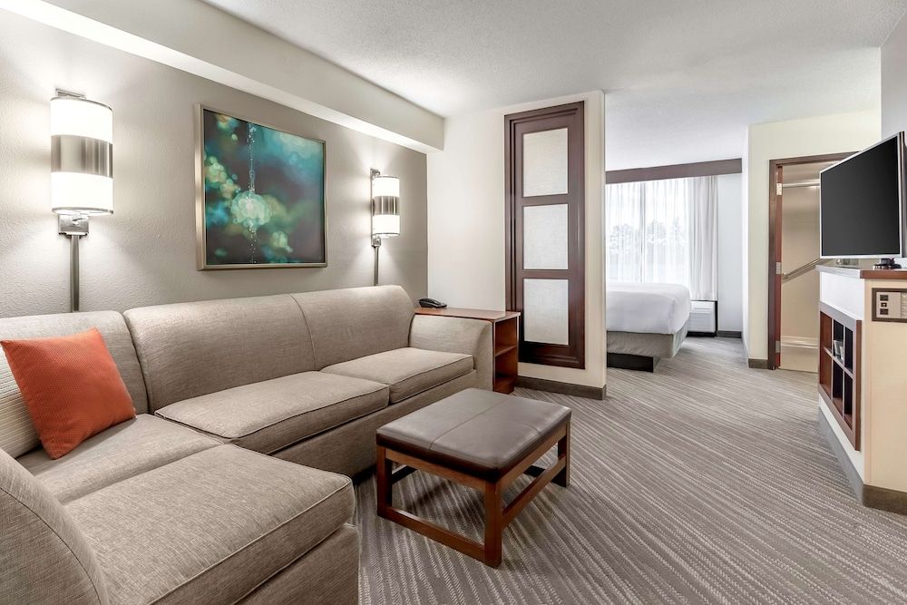 Standard Studio Suite, 1 King Bed with Sofa bed
