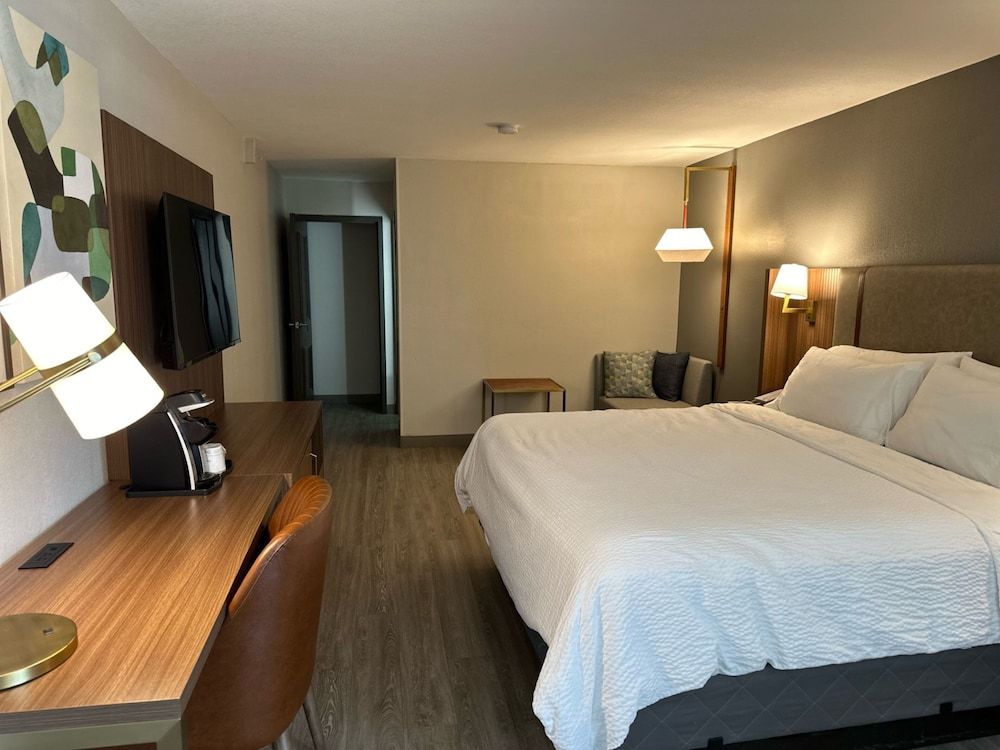 Standard Room, 1 King Bed, Mobility Accessible (Accessible Shower)