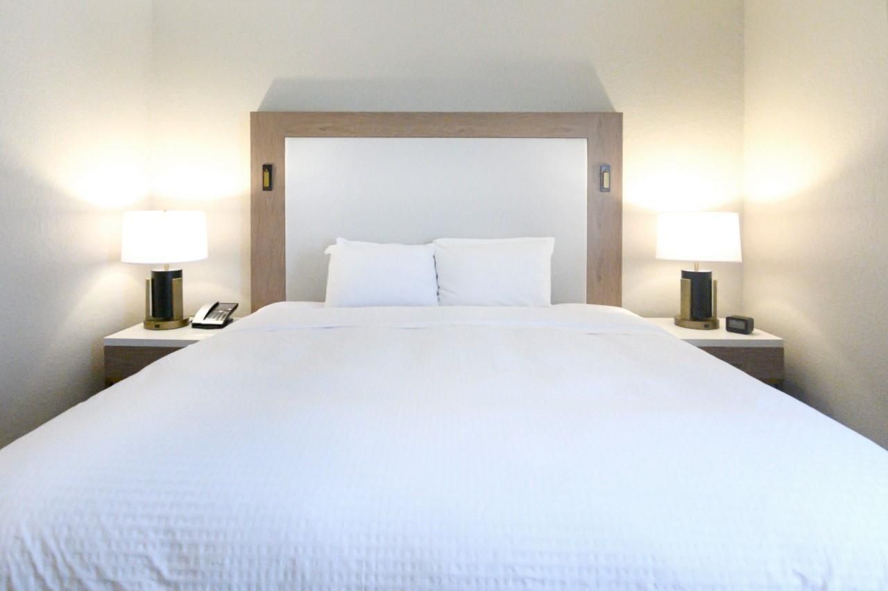 Deluxe Studio, Guest room, 1 King, Sofa bed