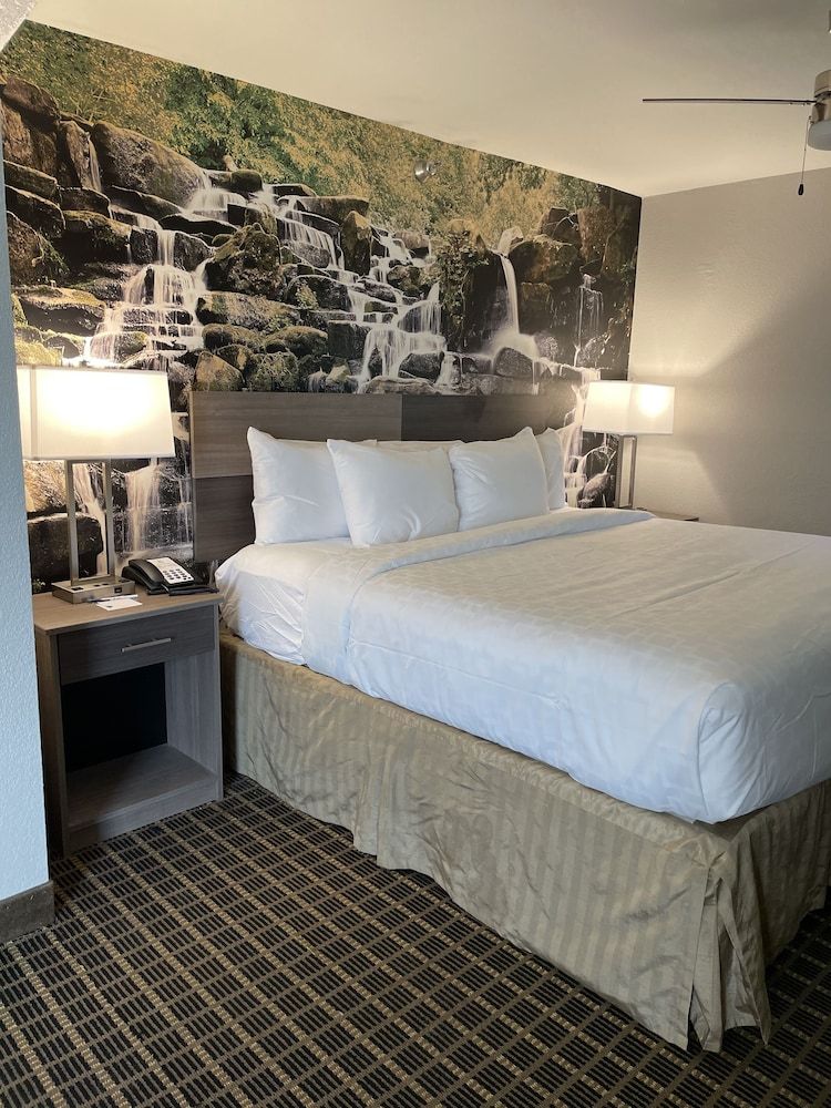 Suite, 1 King Bed with Sofa bed, Non Smoking (Corner Suite)