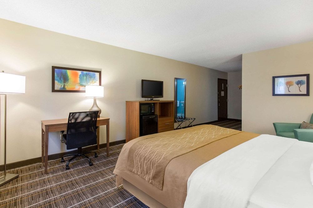 Room, 1 King Bed, Accessible, Non Smoking