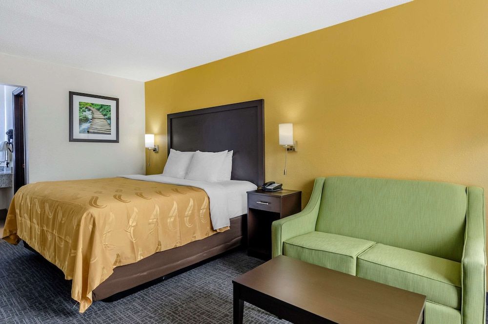Standard Room, 1 King Bed with Sofa bed, Non Smoking