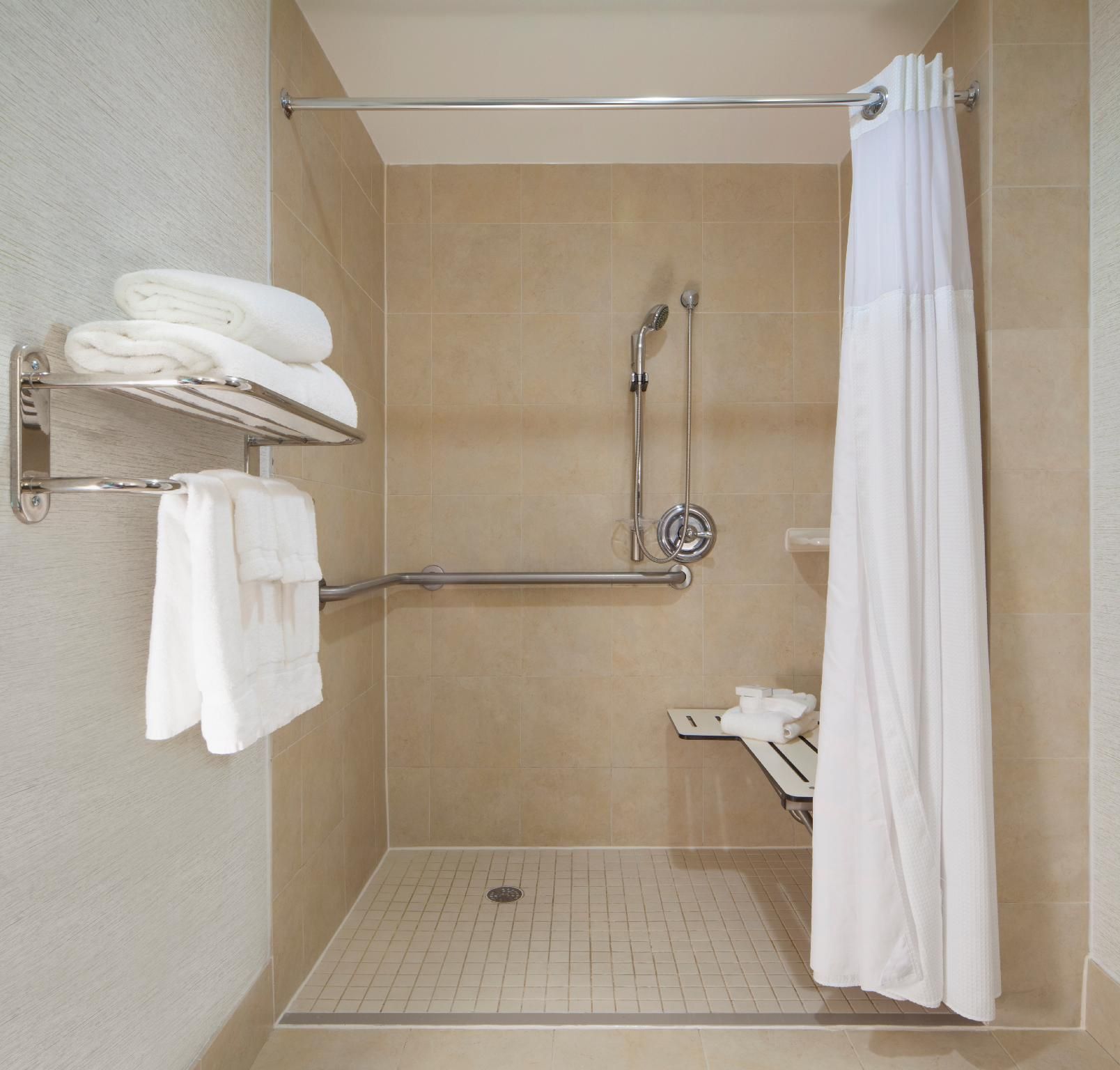 1 KNG 1 BDRM STE MOBILITY ACCESS W/RI SHWR