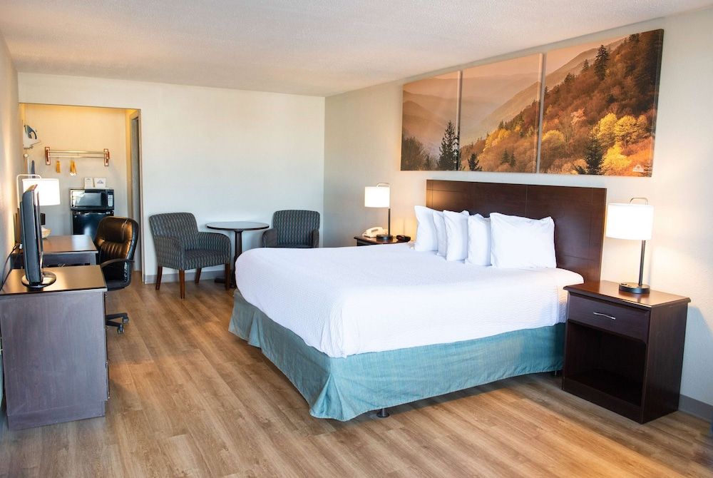 Room, 1 King Bed, Mobility Accessible, Non Smoking (Bathtub w/ Grab Bars)