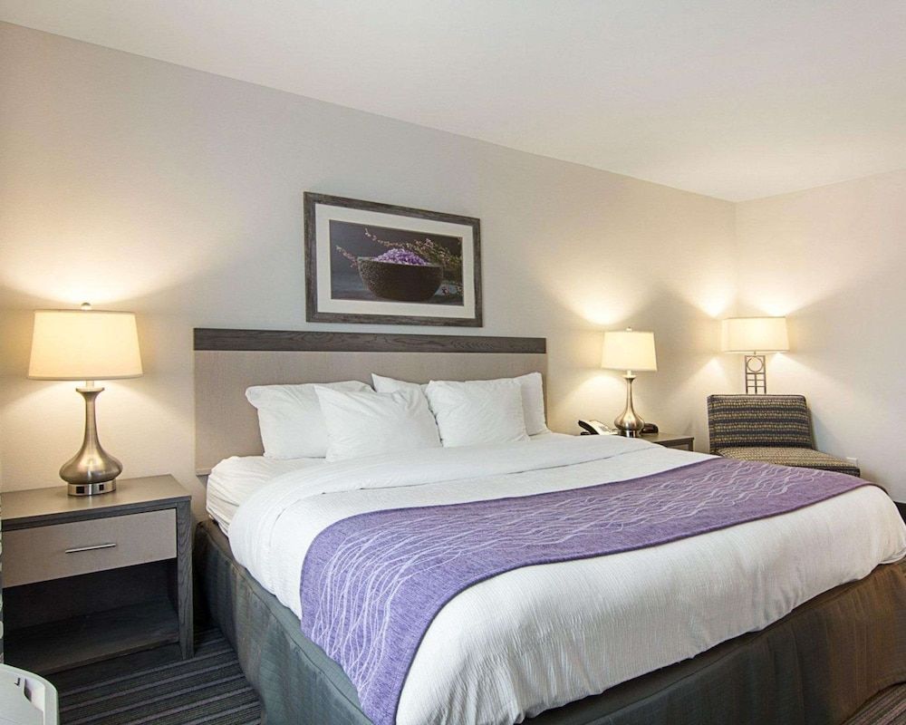 Room, 1 King Bed, Non Smoking