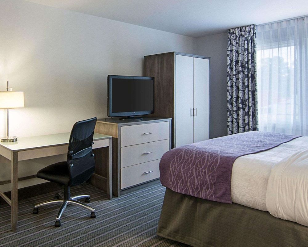 Room, 1 King Bed, Non Smoking