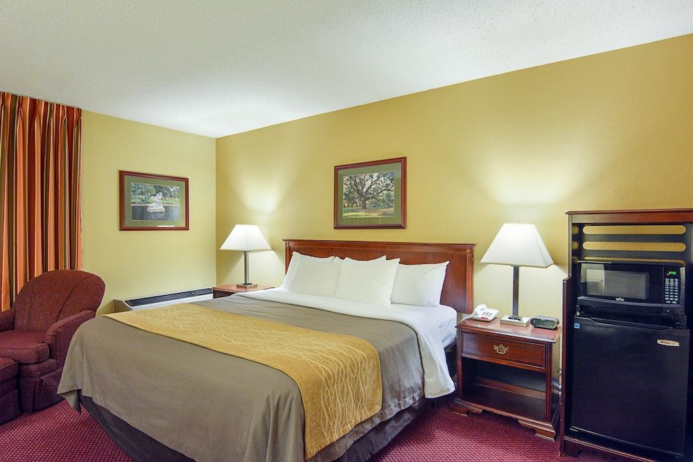 Room, 1 King Bed, Accessible, Non Smoking