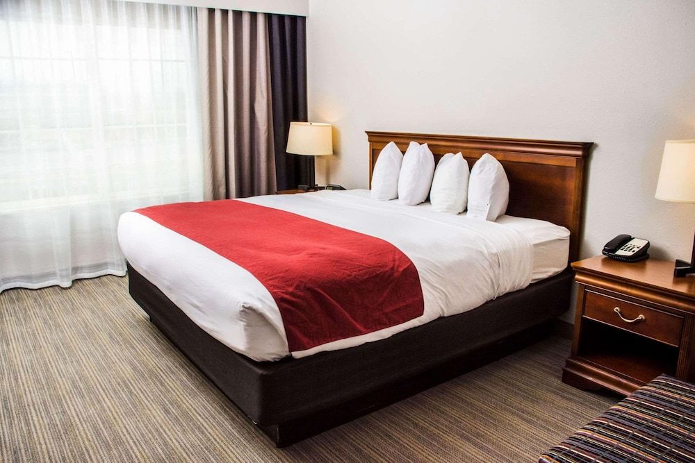 Room, 1 King Bed, Accessible, Non Smoking (Roll-in Shower)