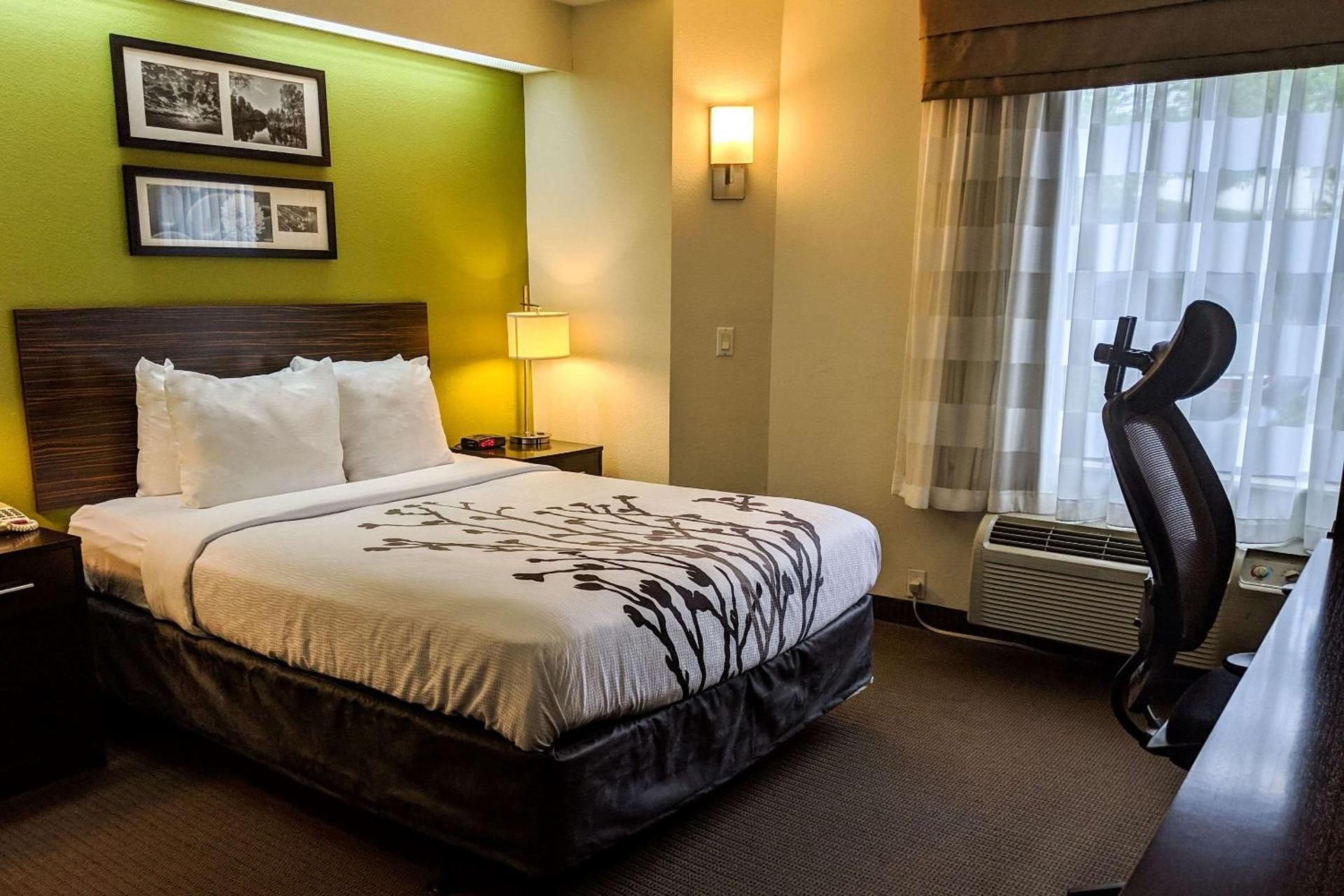 1 Queen Bed, Nonsmoking, Accessible