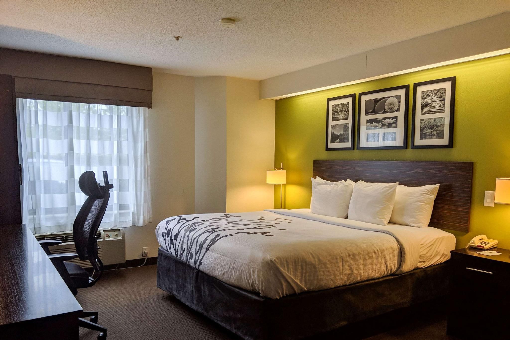 1 King Bed, Nonsmoking