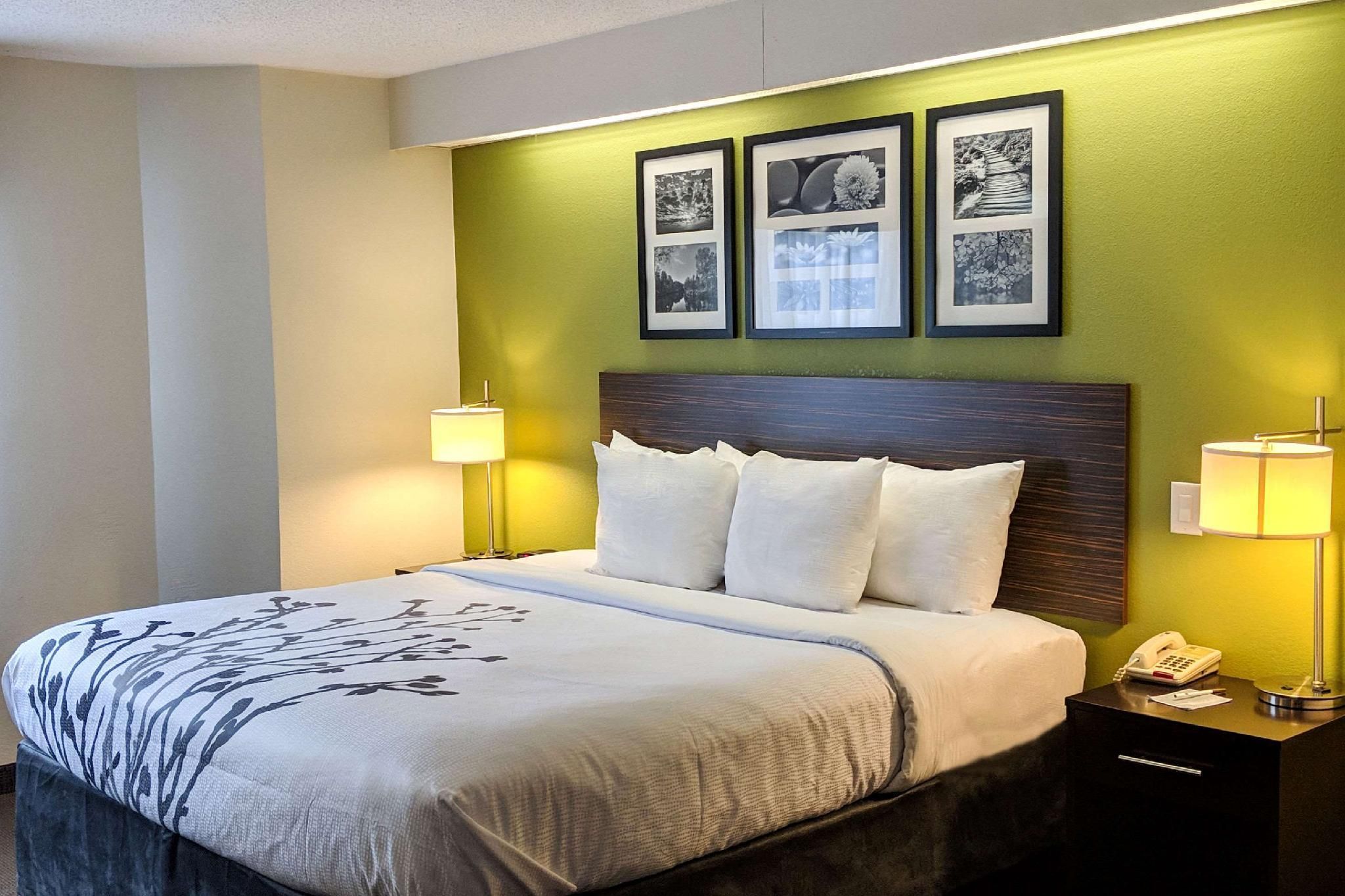 1 King Bed, Nonsmoking