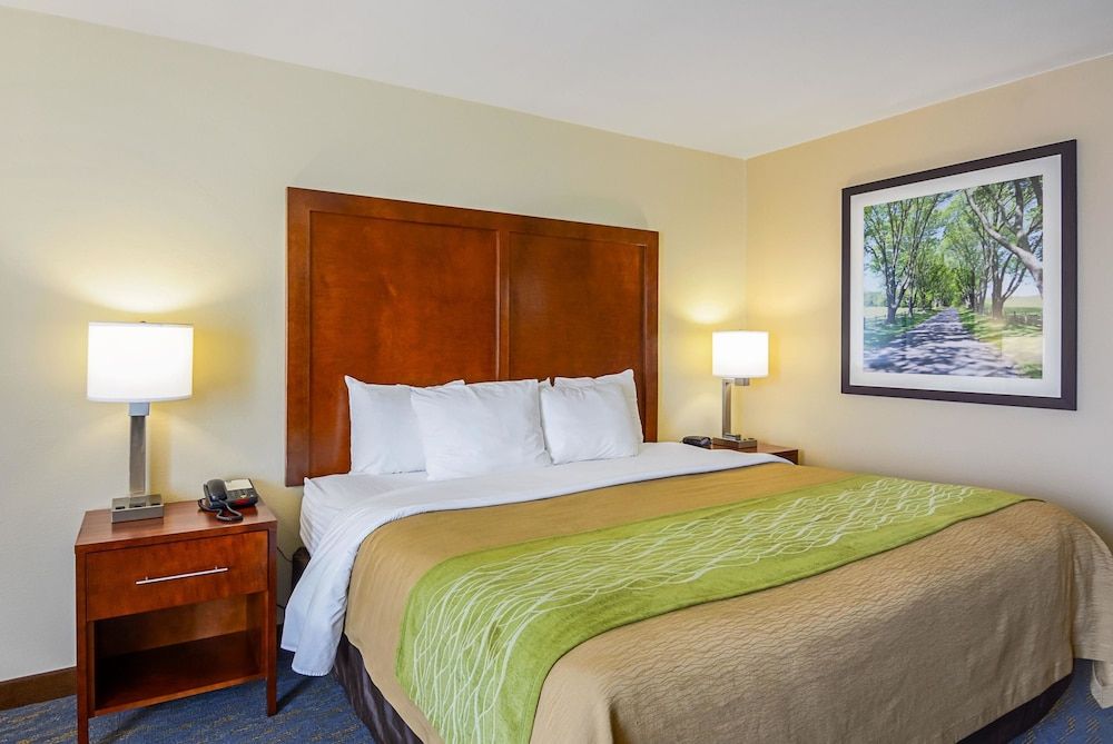 Standard Room, 1 King Bed, Non Smoking