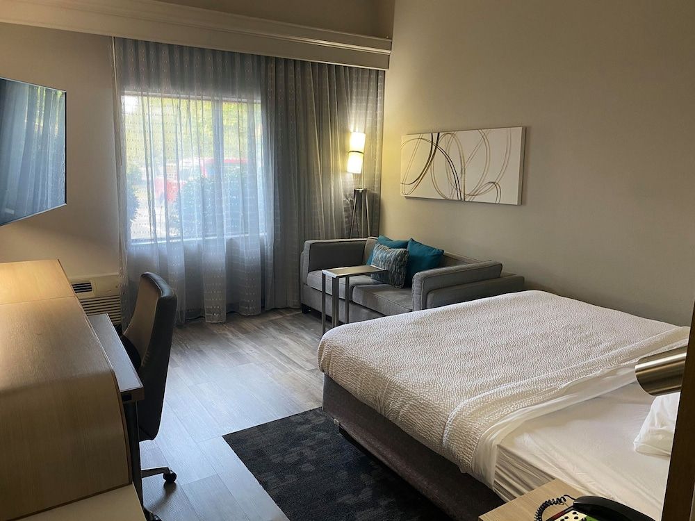 Room, 1 King Bed with Sofa bed