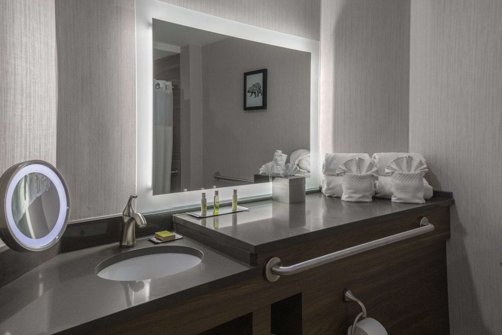 Deluxe Room, 1 Queen Bed, Accessible (Mobility & Hearing, Roll-in Shower)