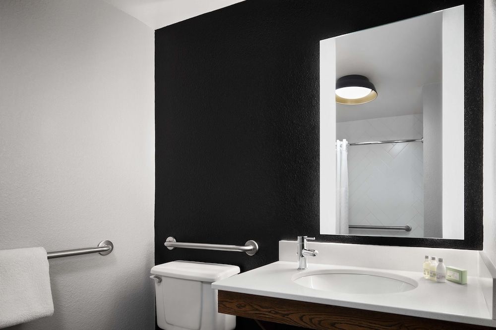 Room, 1 King Bed, Accessible (Roll-In Shower)