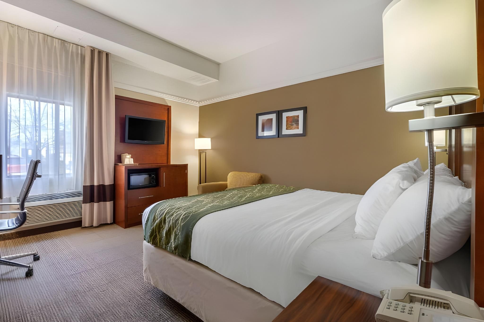 1 King Bed, Nonsmoking