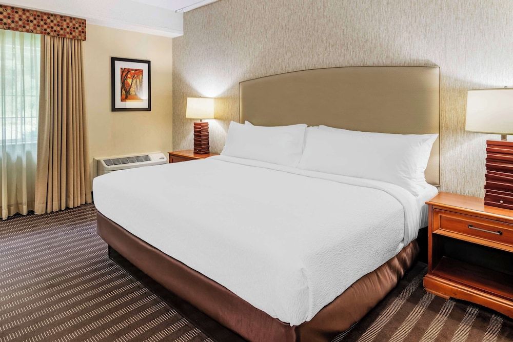 Standard Room, 1 King Bed, Non Smoking, Refrigerator & Microwave