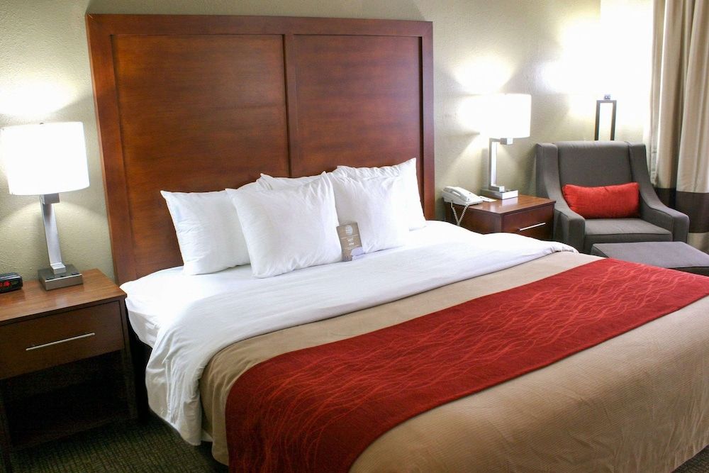 Room, 1 King Bed, Non Smoking
