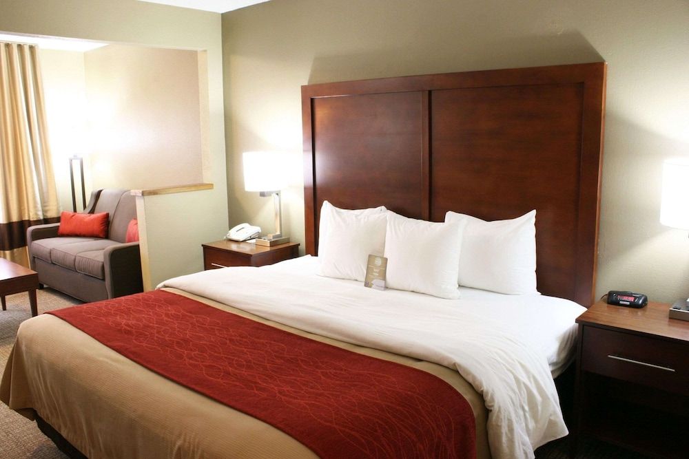 Suite, 1 King Bed with Sofa bed, Non Smoking