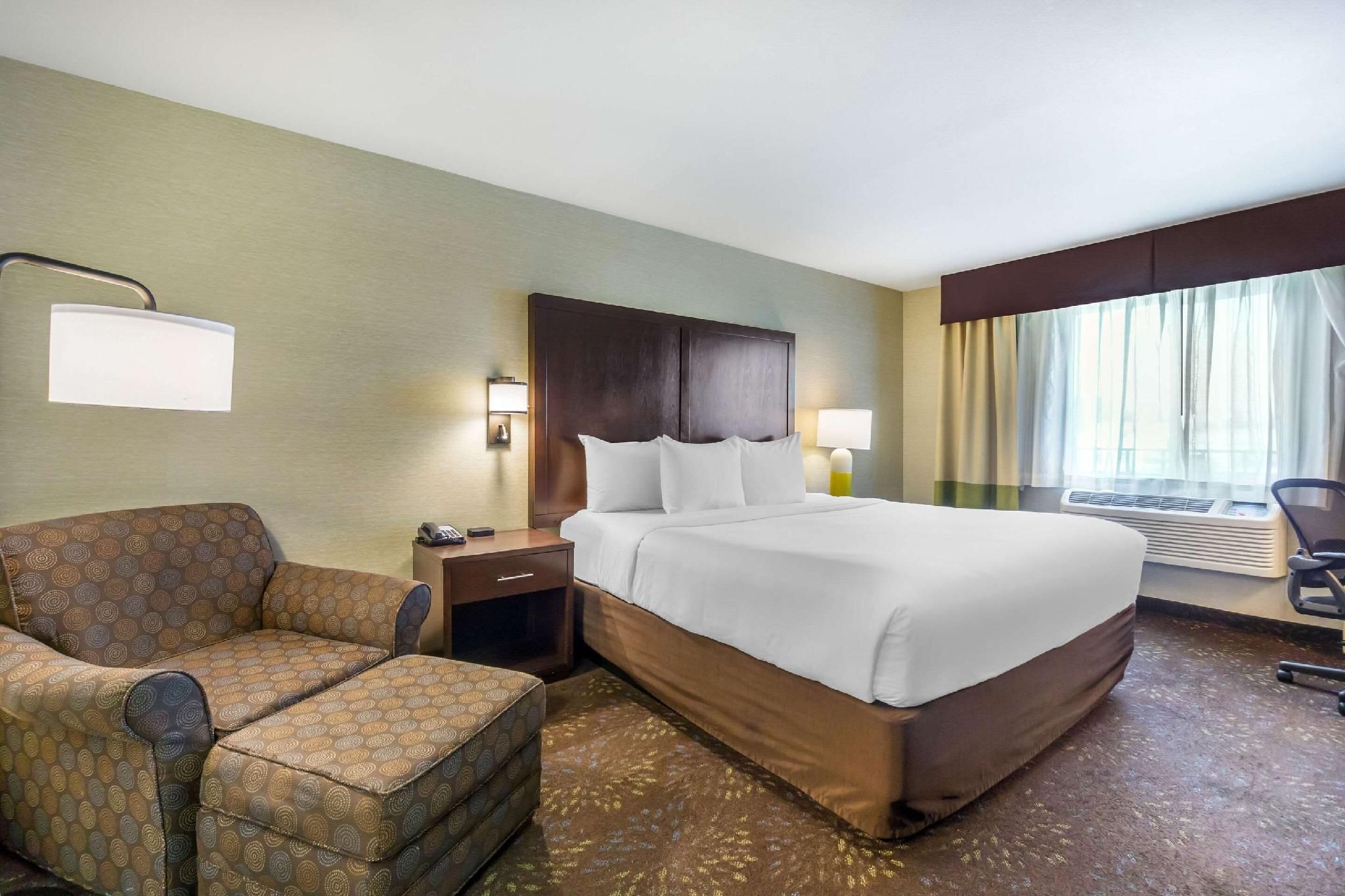 1 King Bed, Suite, Nonsmoking