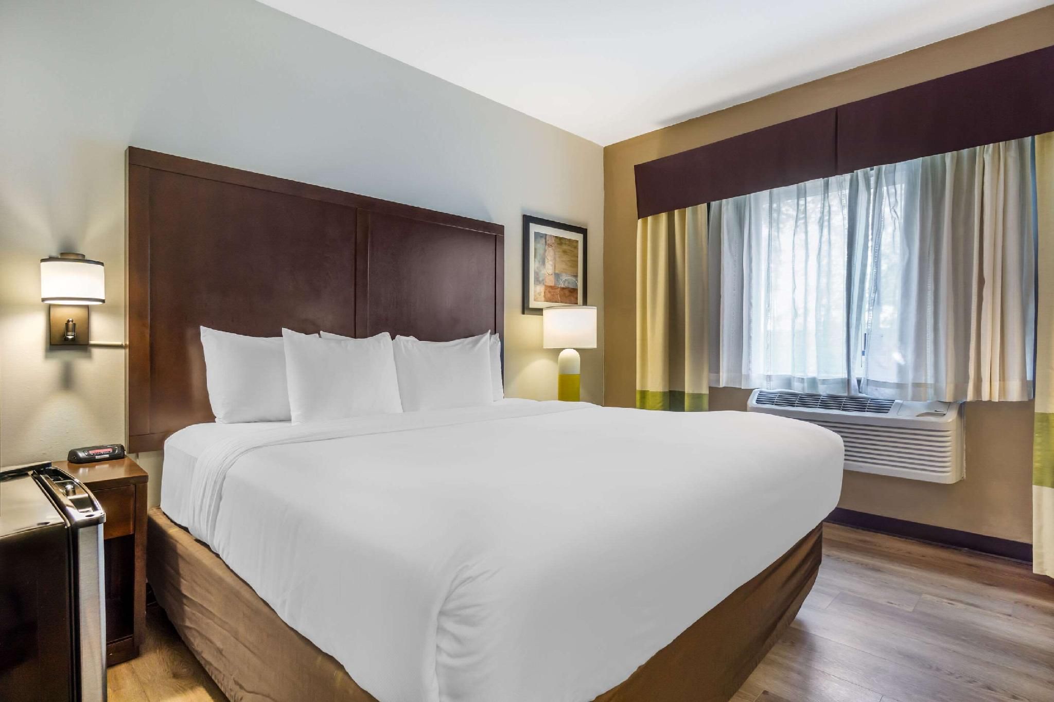 1 King Bed, Nonsmoking, Accessible