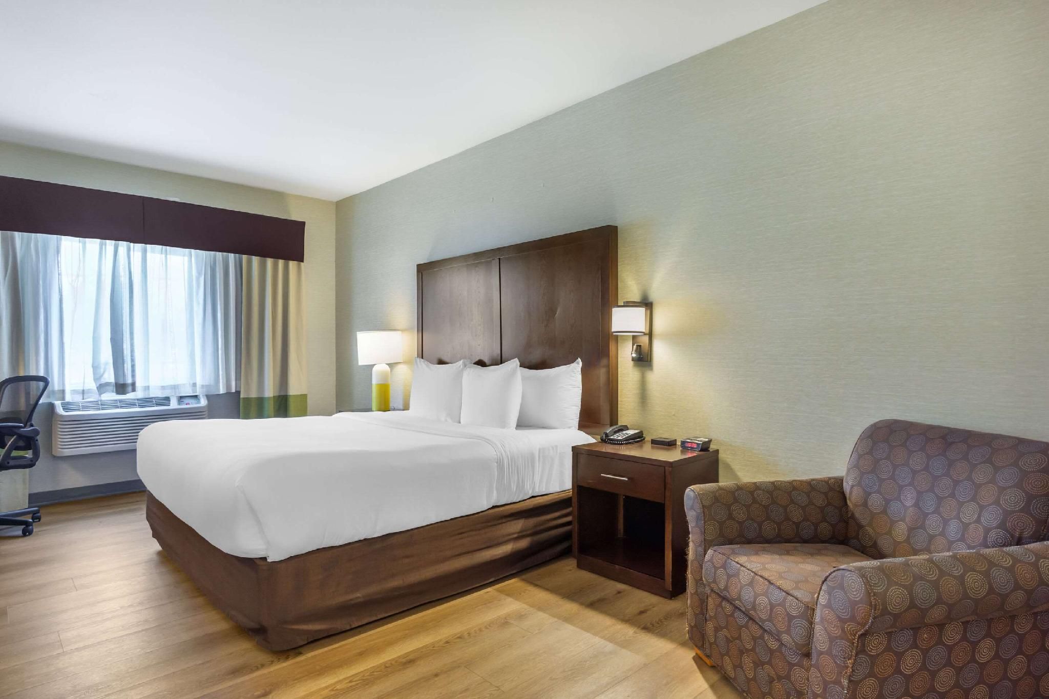 1 King Bed, Nonsmoking