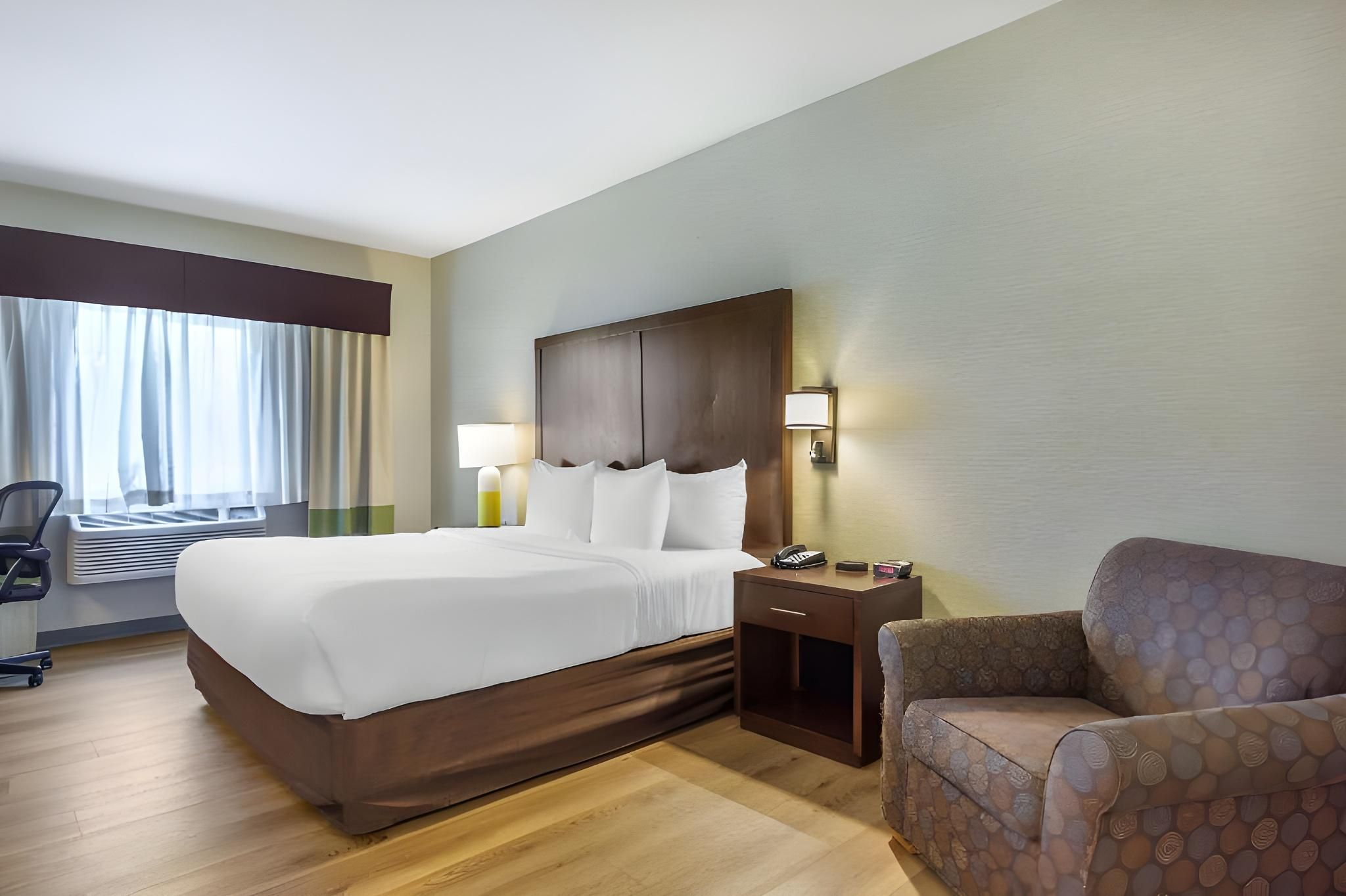 1 King Bed, Non Smoking