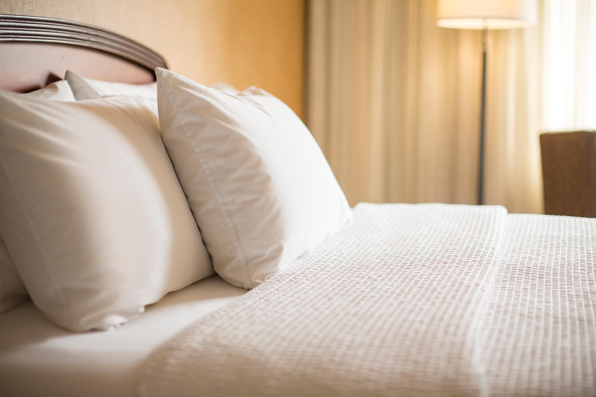 Guest room, 1 King, Sofa bed