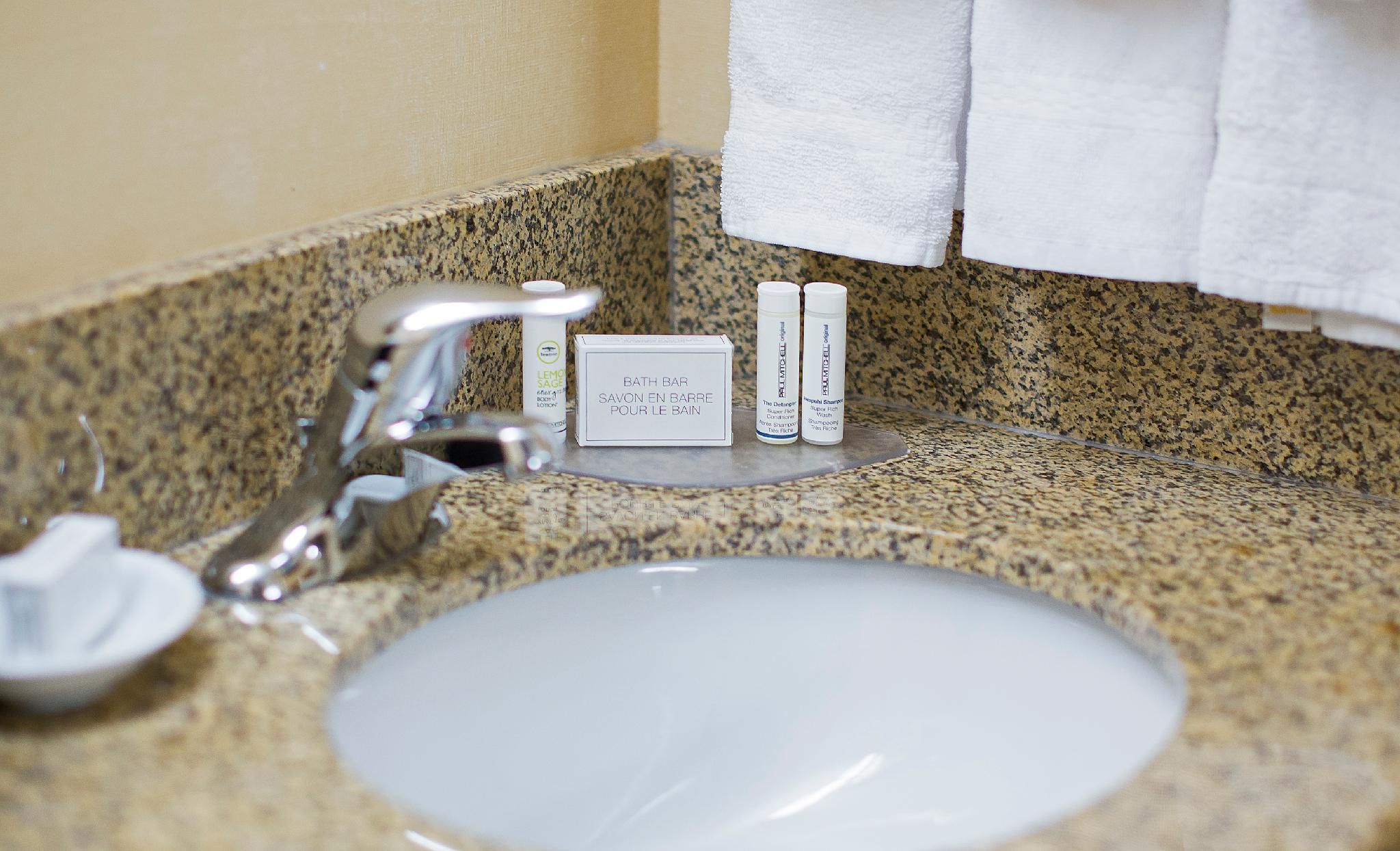 Guest room, 1 King, Sofa bed