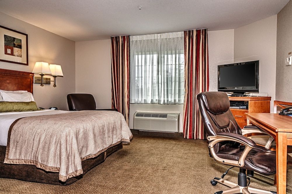 Studio Suite, 1 Queen Bed