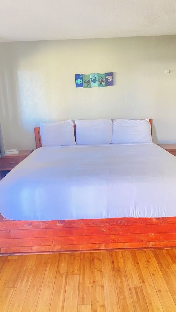 Ocean Shores Inn & Suites Studio (Studio One King with Kitchen)