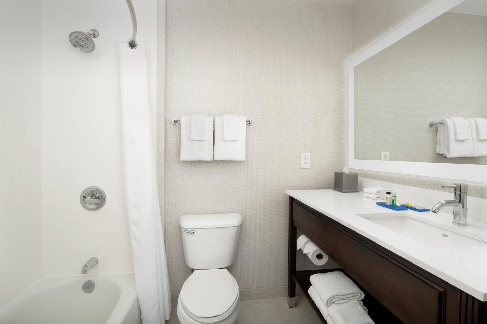 One-Bedroom Queen Suite