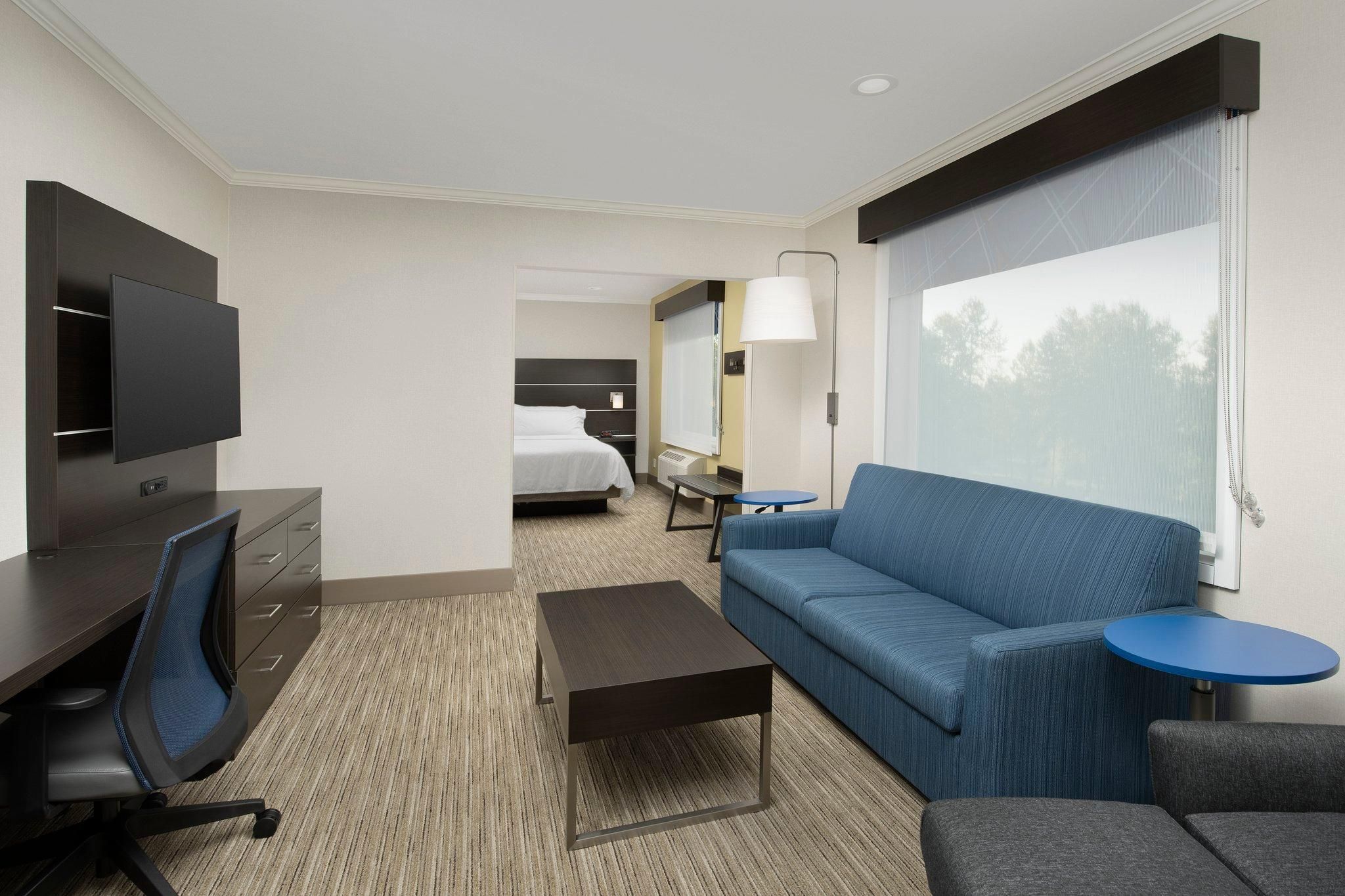 1 King Bed 1 Bedroom Suite