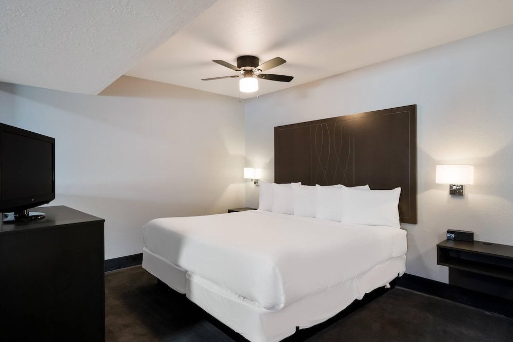 Suite, 1 King Bed, Non Smoking (Efficiency)